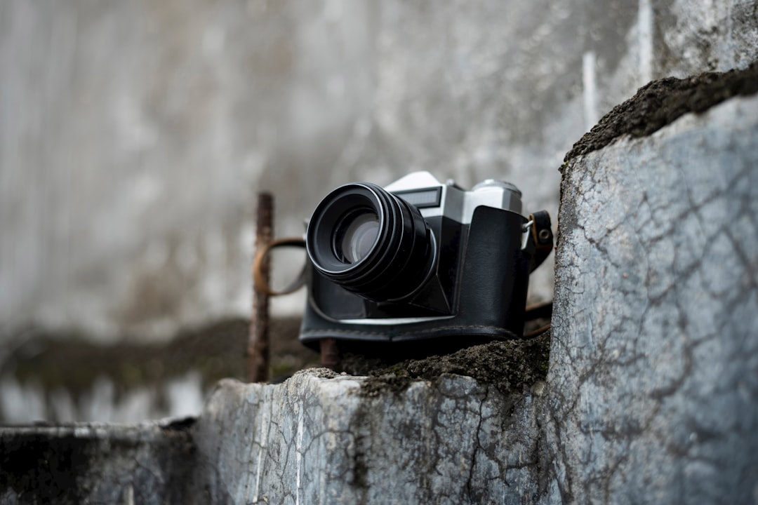 Capturing Moments: A Guide to Essential Photography Equipment